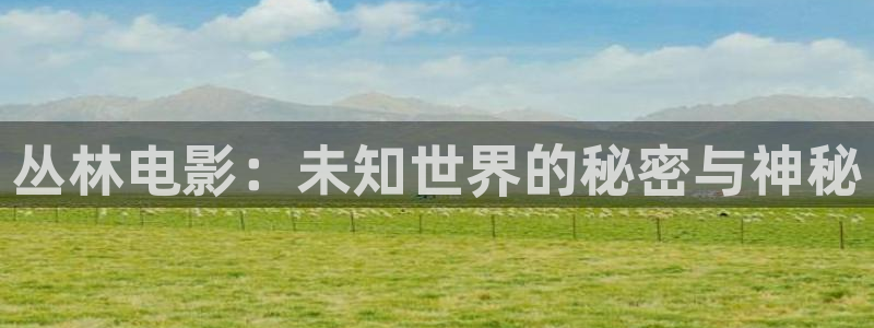 后宫露营樱花视频