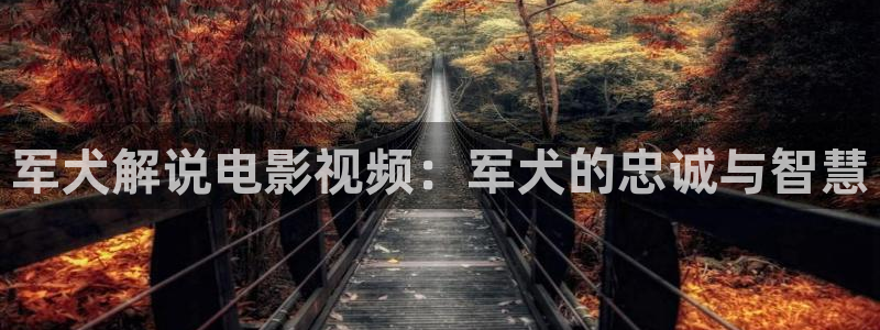 樱花视频在线观看免费播放电视剧