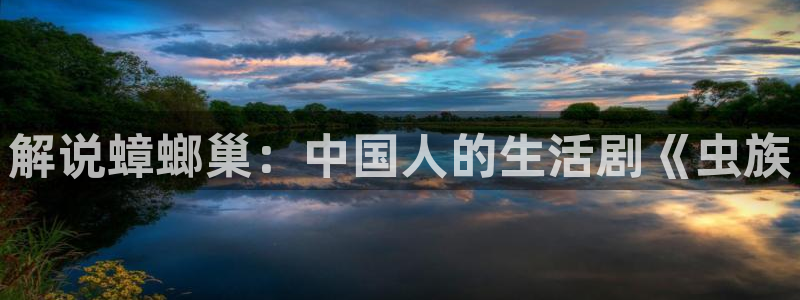 午夜樱花视频在线观看
