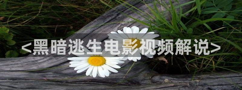 樱花影院网站在线观看电视剧