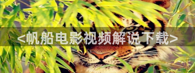 日本樱花视频观看