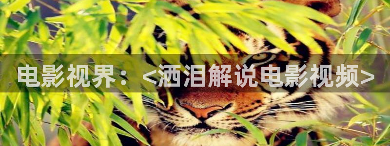 樱花影视在线观看电影免费完整版