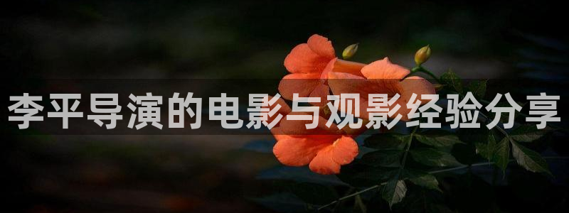 樱花影院高清视频