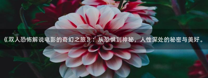 樱花视频www在线观看
