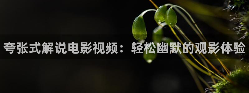 樱花视频在线www观看