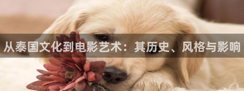 三月樱花视频