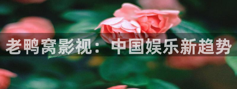 樱花视频免费安装
