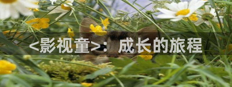 樱花视频免费试看