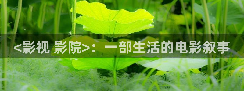 樱花影视剧在线观看免费视频